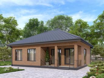Одноэтажный дом террасой и просторной гостиной